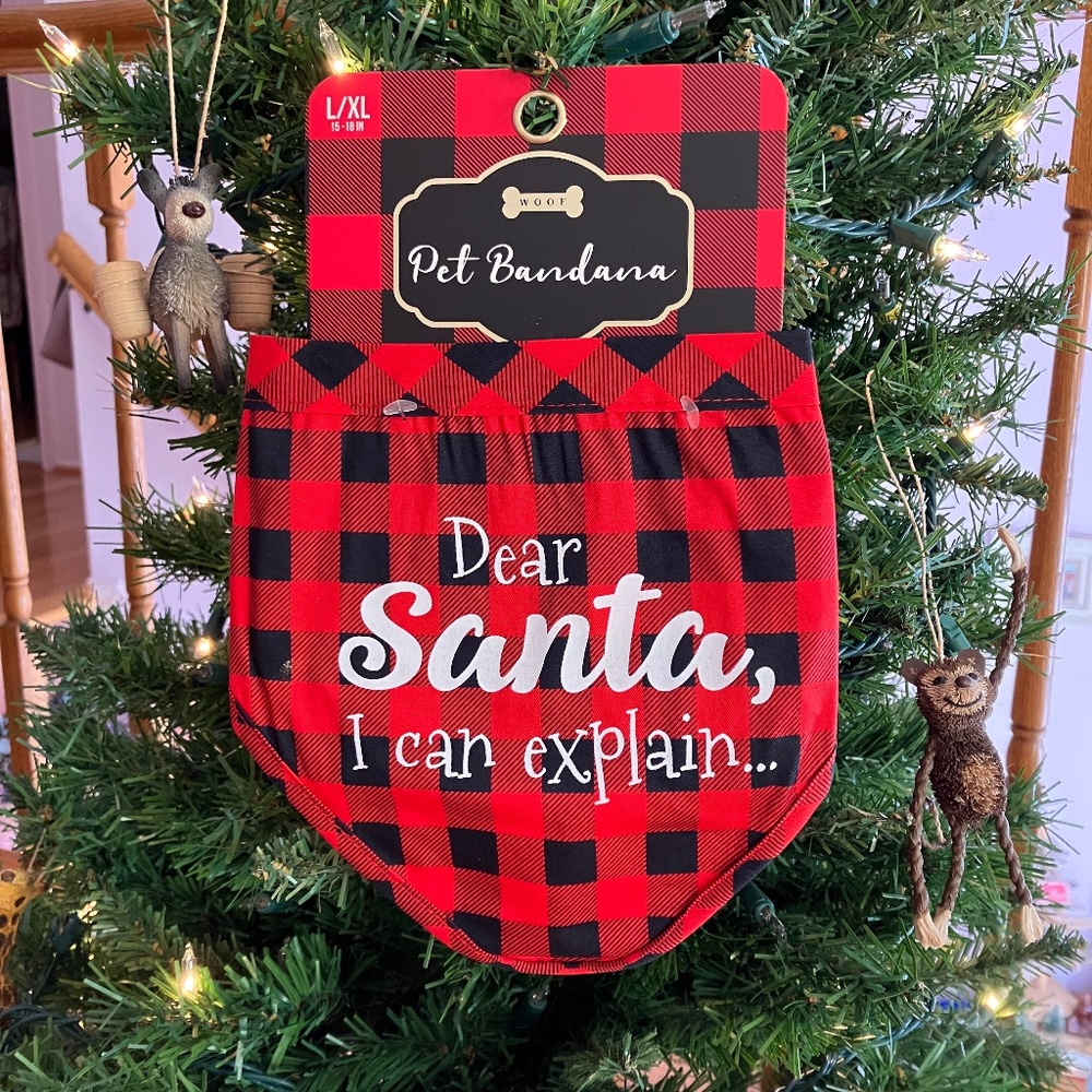 NWT! Darling Santa Message Dog Scarf!